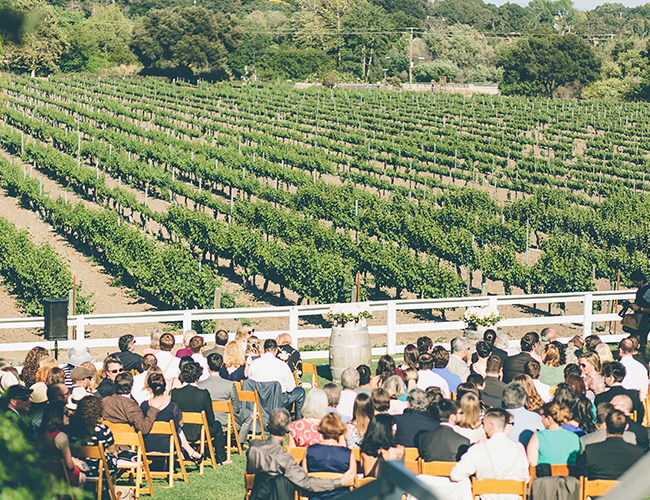 Yellow Vineyard Wedding - Wedding Blog