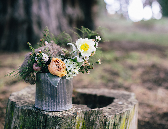 Cozy Camping Engagement