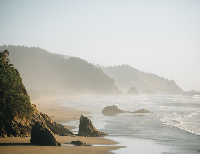 Beach Bonfire Proposal
