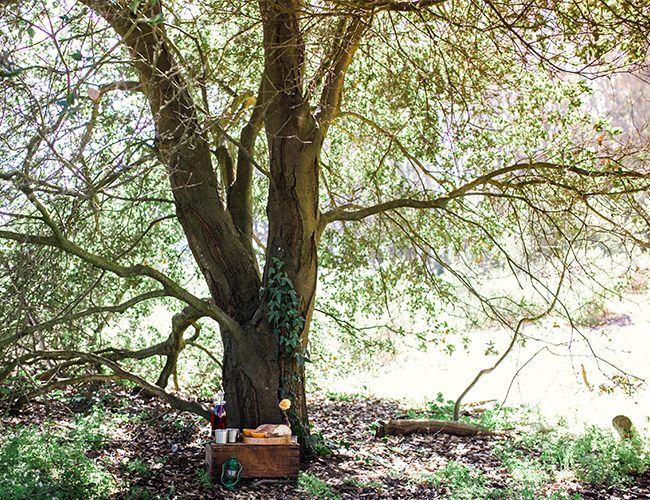 Cozy Camping Engagement