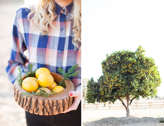 Christmas Camping Family Session