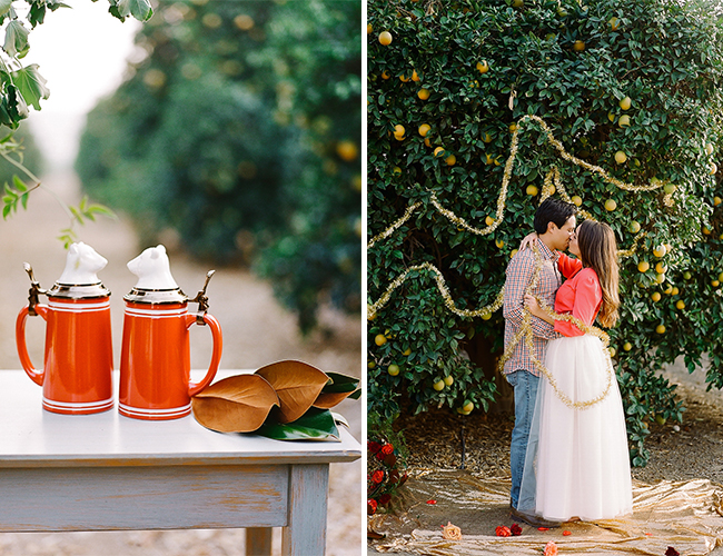 Orchard Holiday Engagement Session