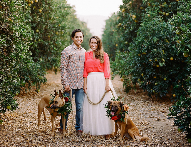 Orchard Holiday Engagement Session