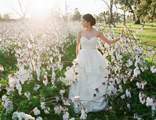Mint & Blush Charleston Wedding