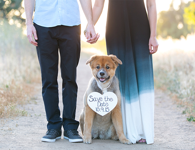 Dreamy Orange County Engagement Session