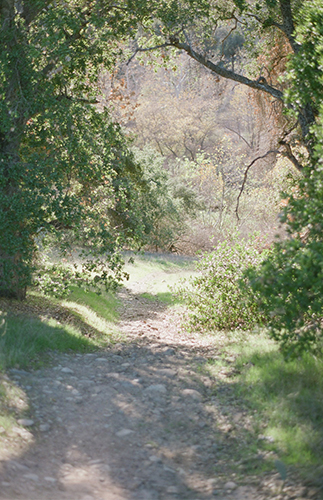 Rustic Engagement Photos