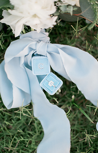 Pastel Vineyard Engagement