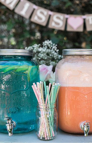 Blush Steel Magnolias Bridal Shower - Inspired by This