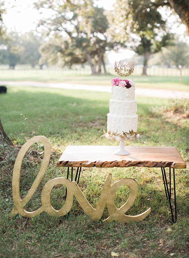 Pink & Plum Engagement Session - Inspired by This