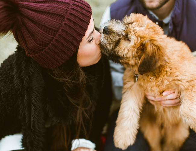 Adorable Wisconsin Anniversary Shoot - Inspired by This