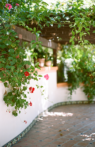 Classic Pastel Wedding - Inspired by This