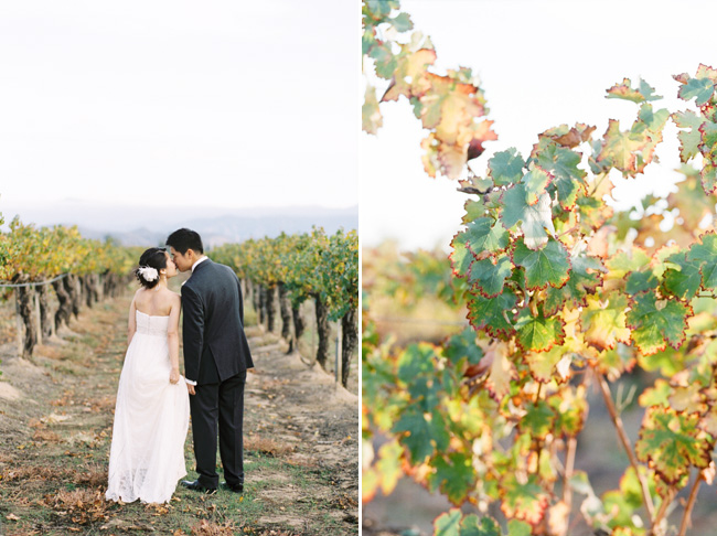 film photography, lane dittoe photography, classic wedding inspiration, vineyard wedding inspiration