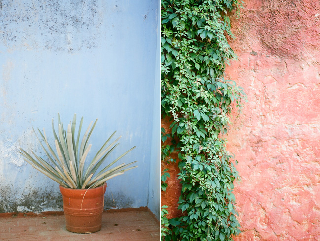 film photography, lane dittoe photography,