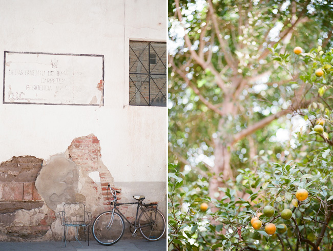 film photography, lane dittoe photography,