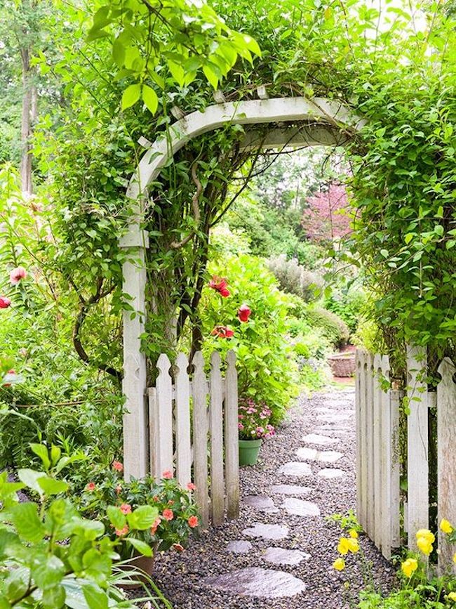 What You Need to Start an At-Home Garden