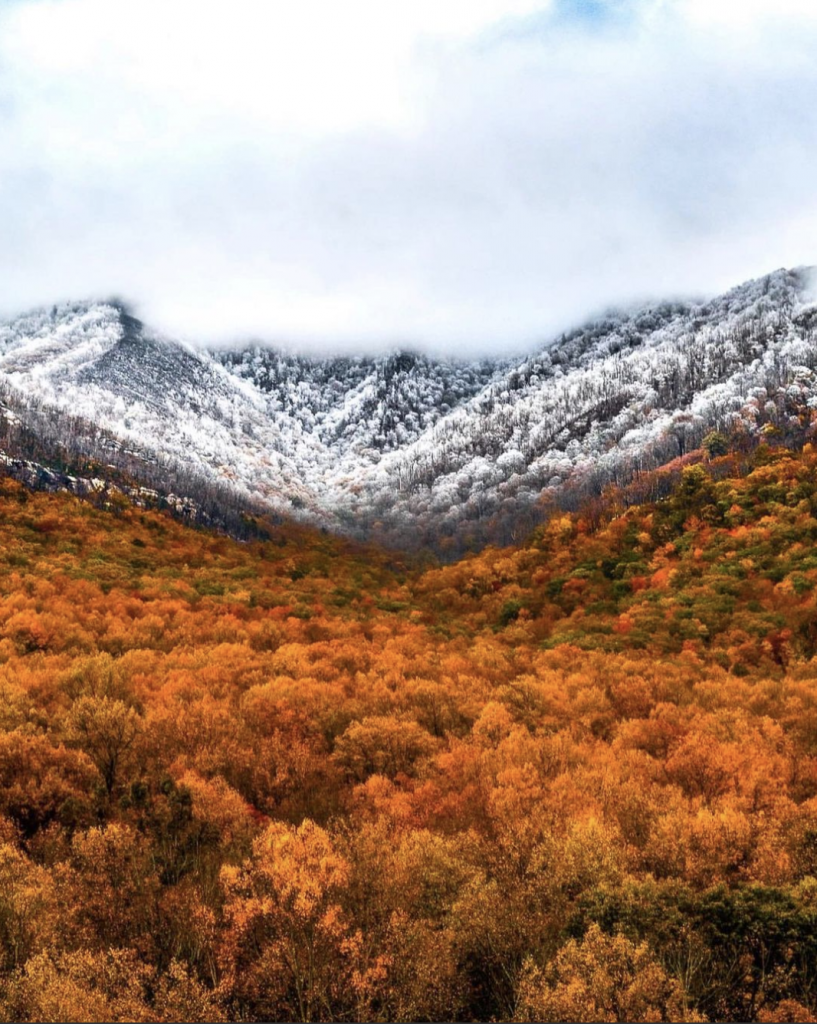 Itching For Fall Foliage? Here Are Our Top 3 Places To See It