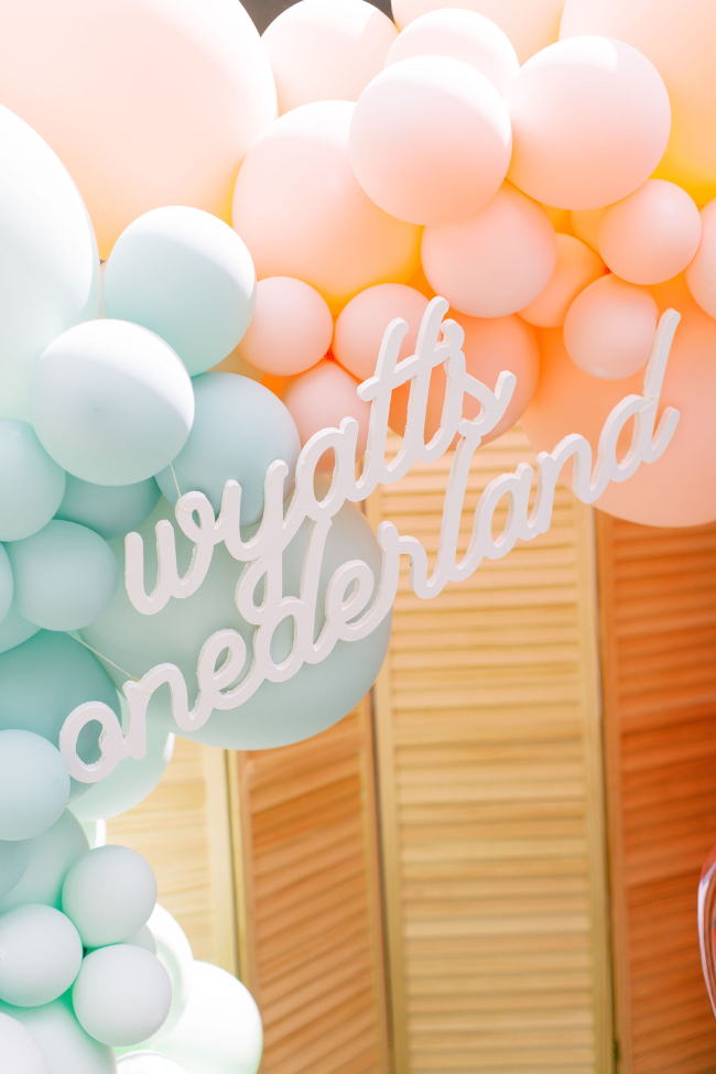 Spectacular Rainbow "Onederland" Birthday Party