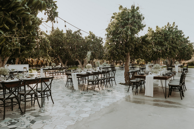 Beautiful Blue & White Baby's Breath-Filled Cabo Wedding