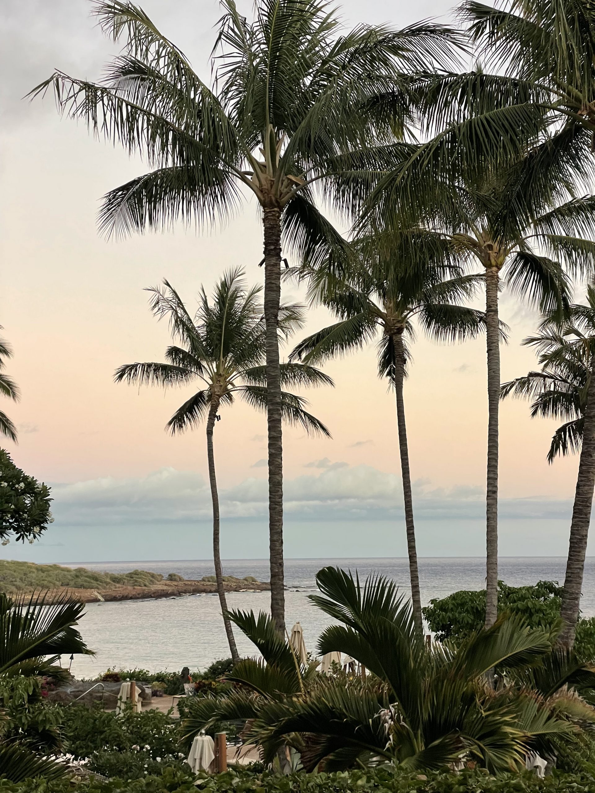 Four Seasons Resort Lanai