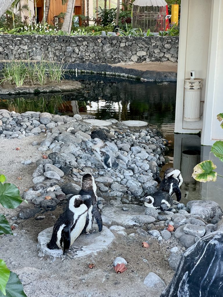 Hyatt Regency Maui - Inspired by This-