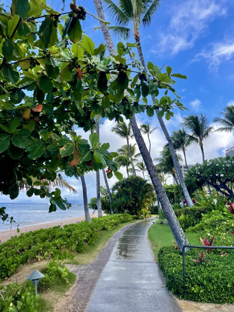Hyatt Regency Maui - Inspired by This-