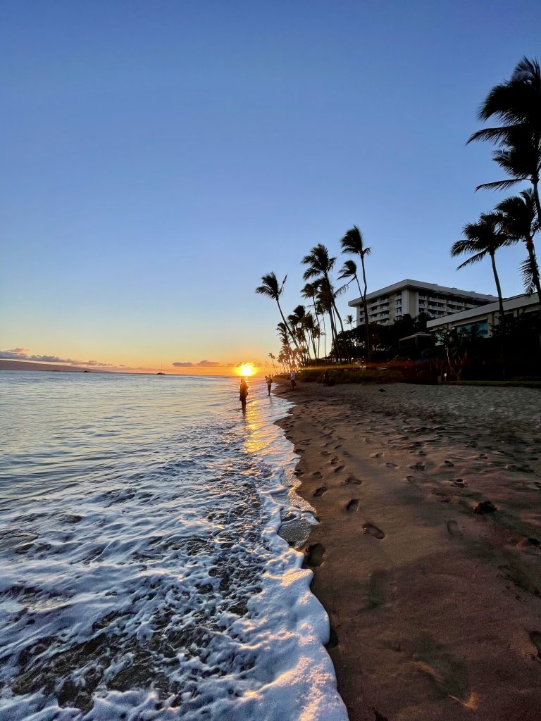 Hyatt Regency Maui - Inspired by This-