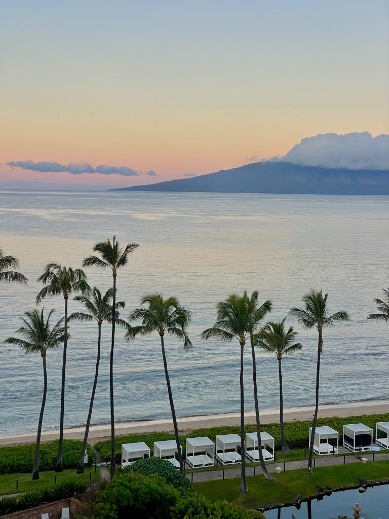 Hyatt Regency Maui - Inspired by This-