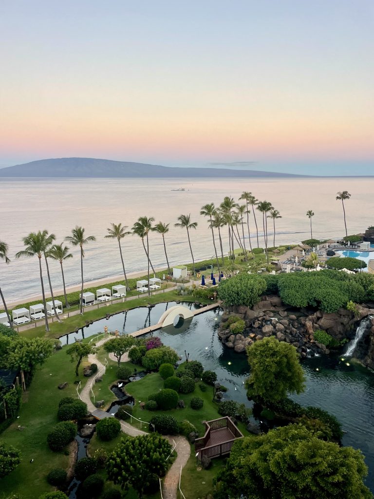 Hyatt Regency Maui - Inspired by This-