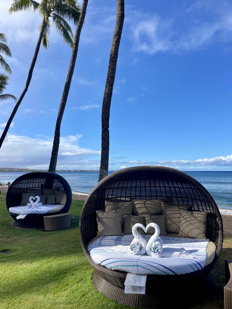Hyatt Regency Maui - Inspired by This-