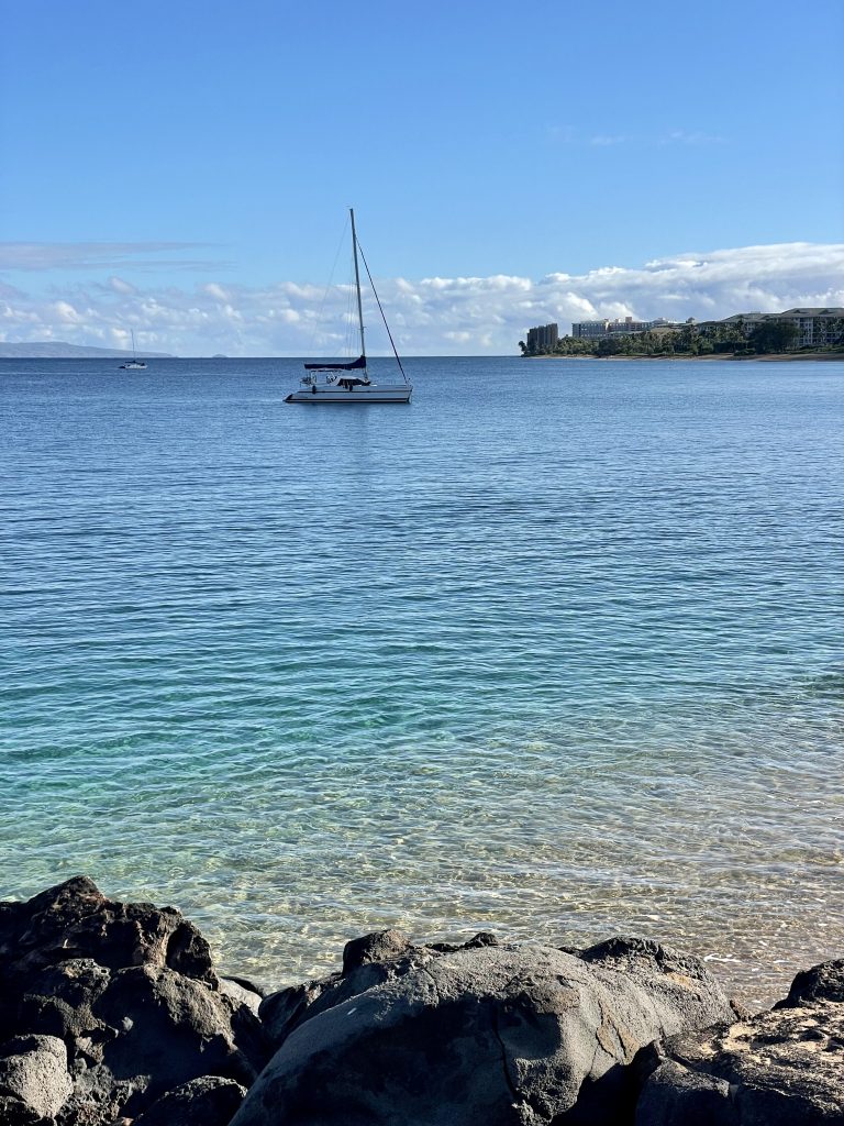 Hyatt Regency Maui - Inspired by This-