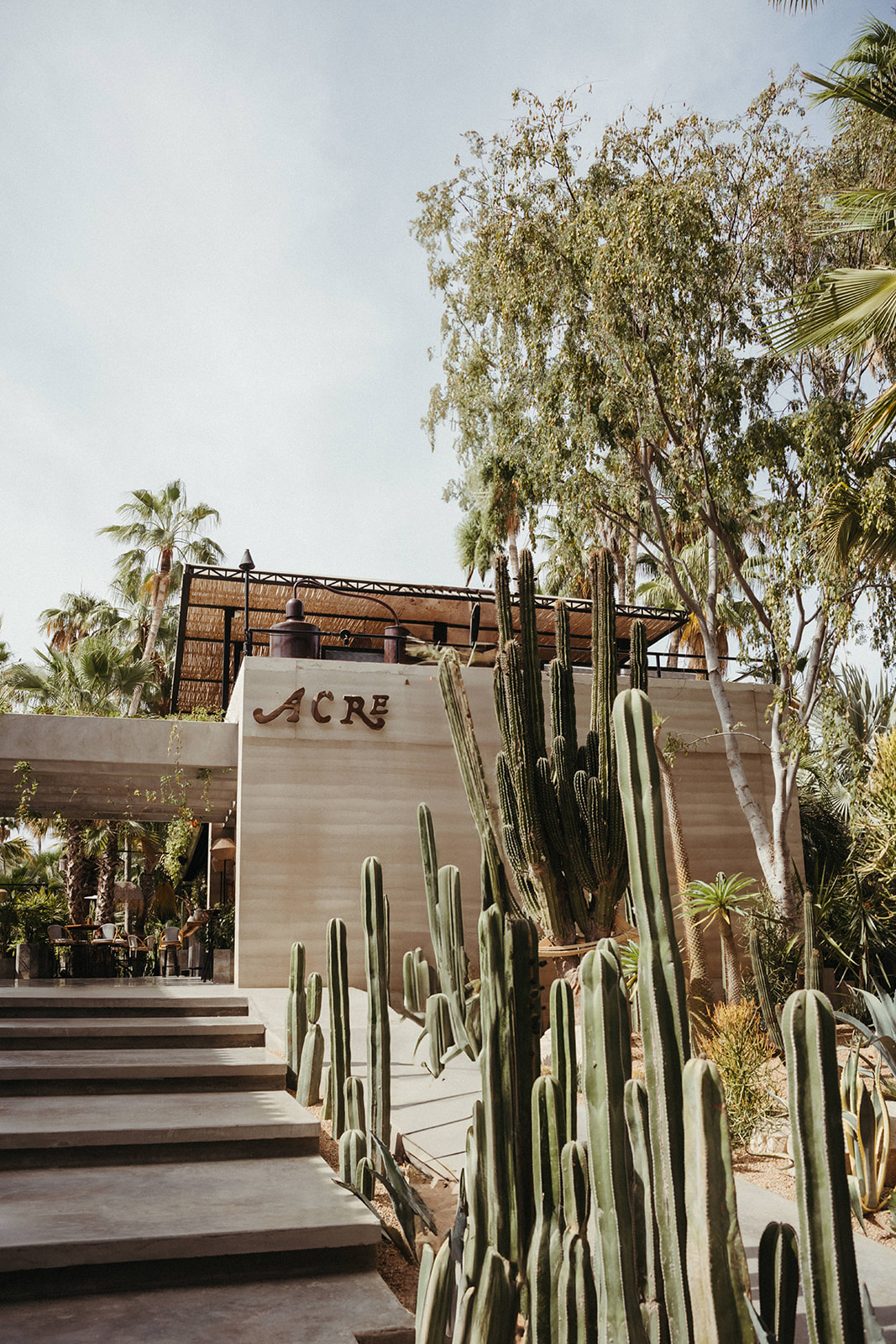 A Destination Wedding in Cabo Filled With Texture and Romance