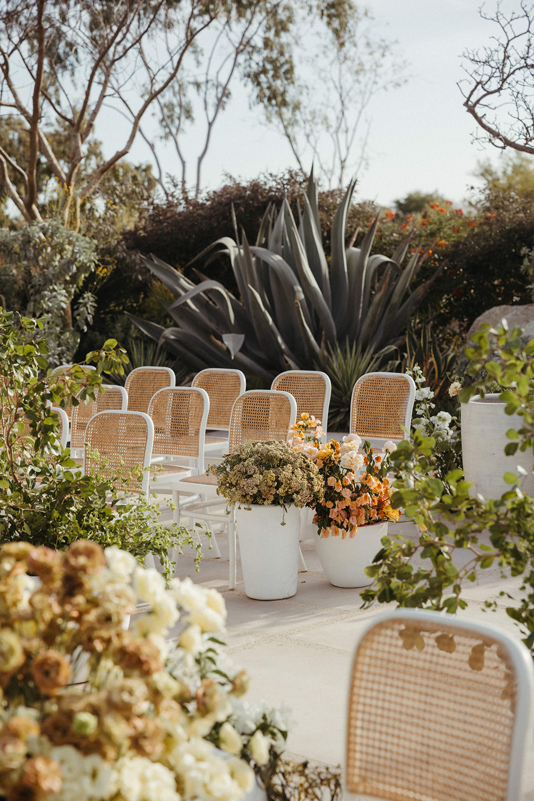 A Destination Wedding in Cabo Filled With Texture and Romance