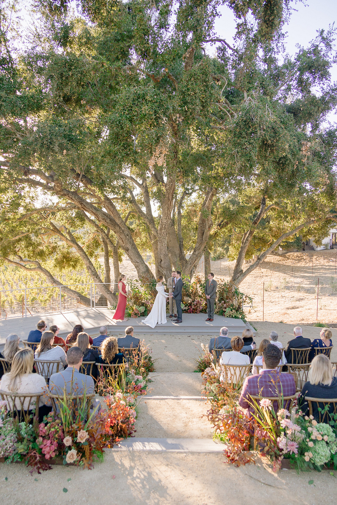 vineyard wedding