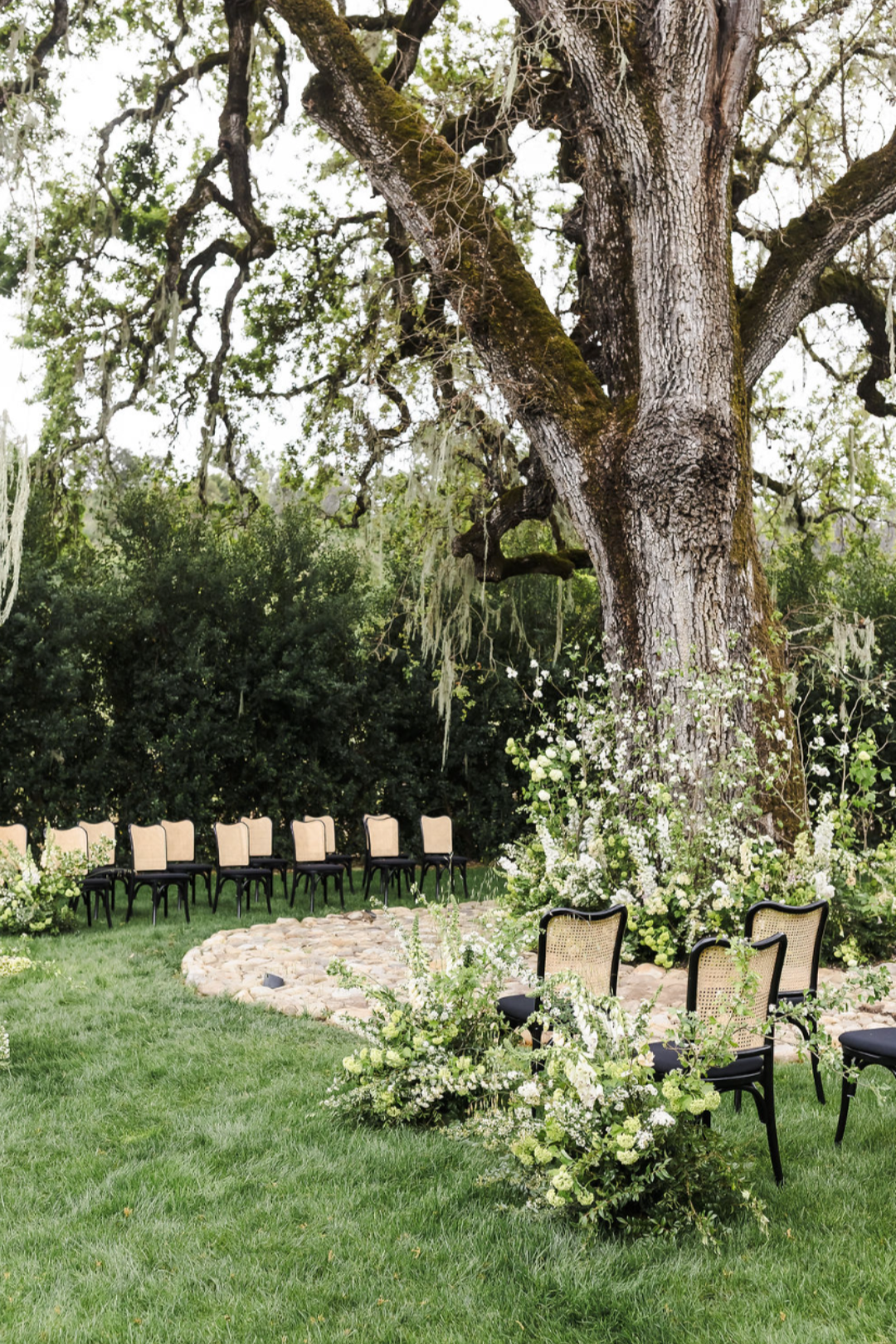 Elegant Napa Valley Vineyard Wedding