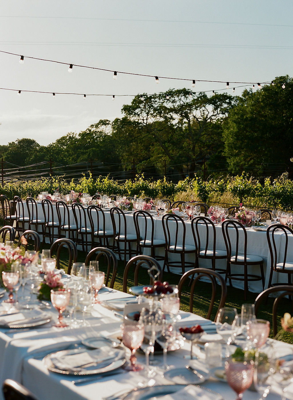 vineyard wedding
