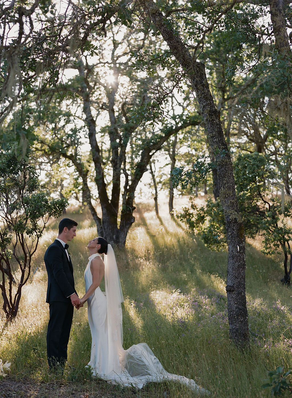 vineyard wedding