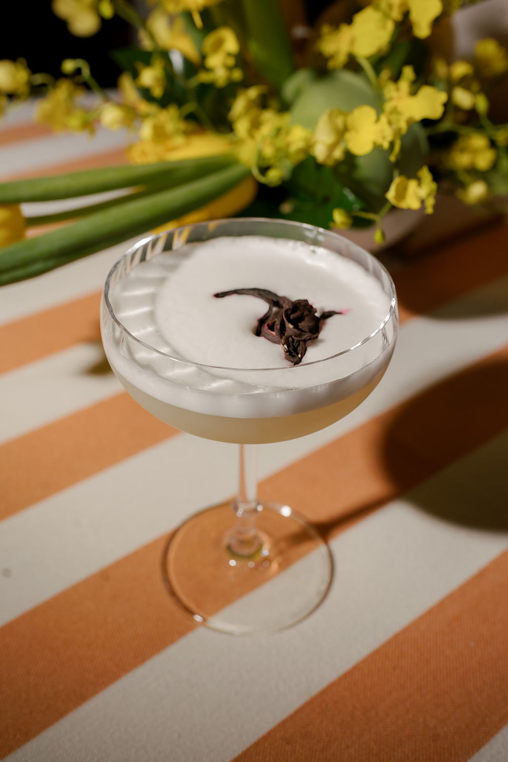 A Design Showcase That Highlighted All Five Senses