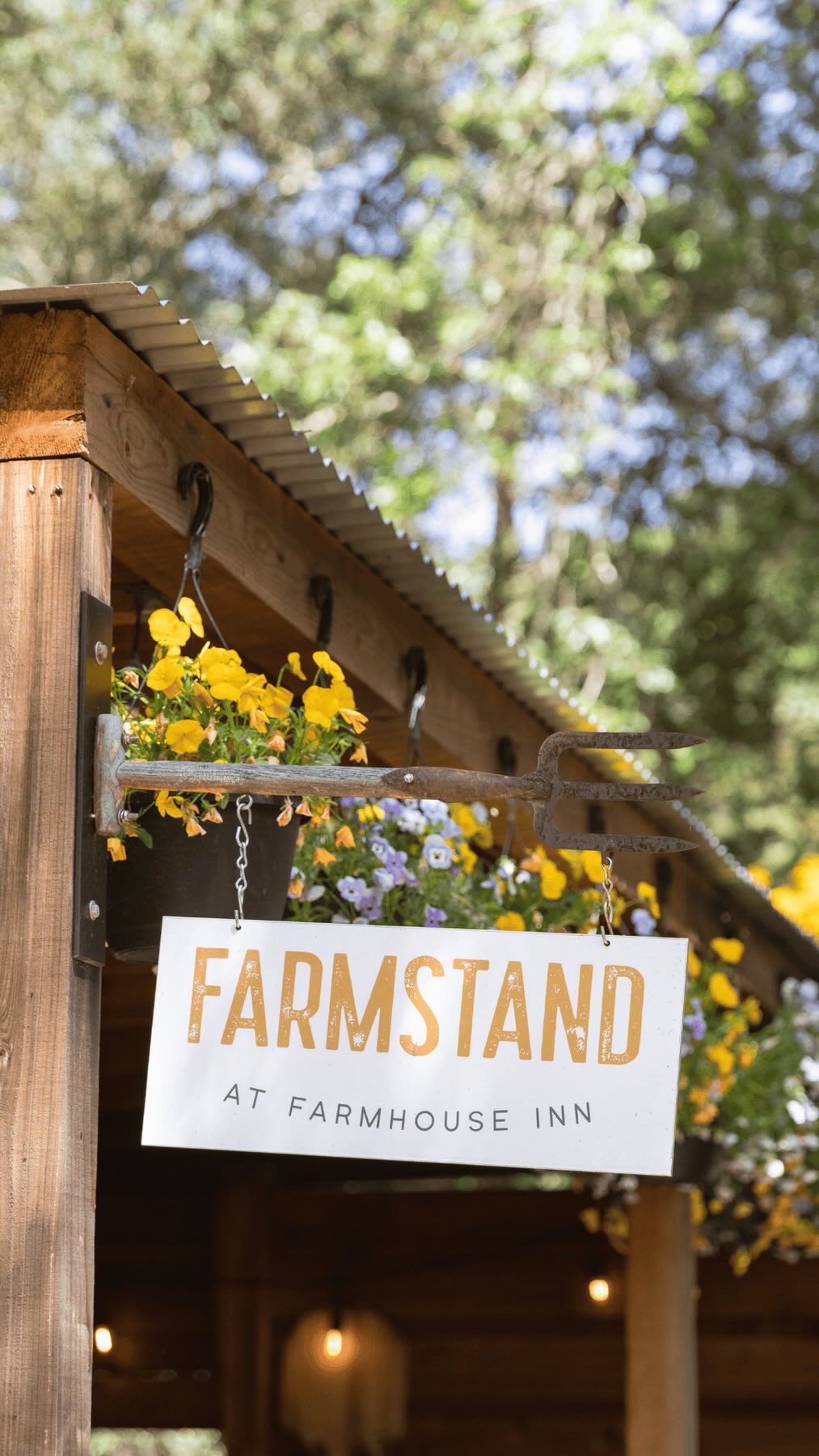A Cozy Sonoma Escape: Our Girls Trip to Farmhouse Inn