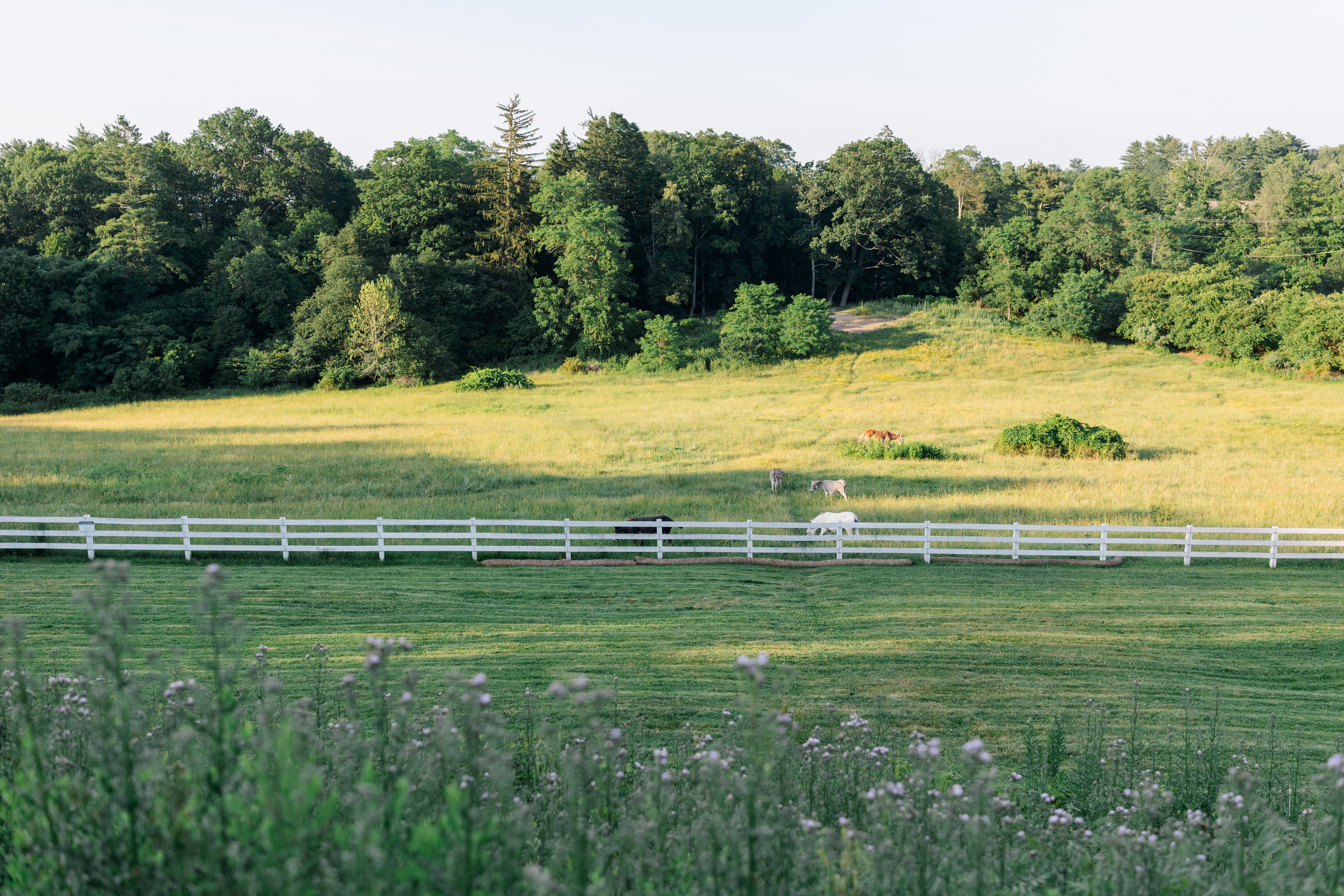 A Rustic Chic Wedding Anniversary Celebration
