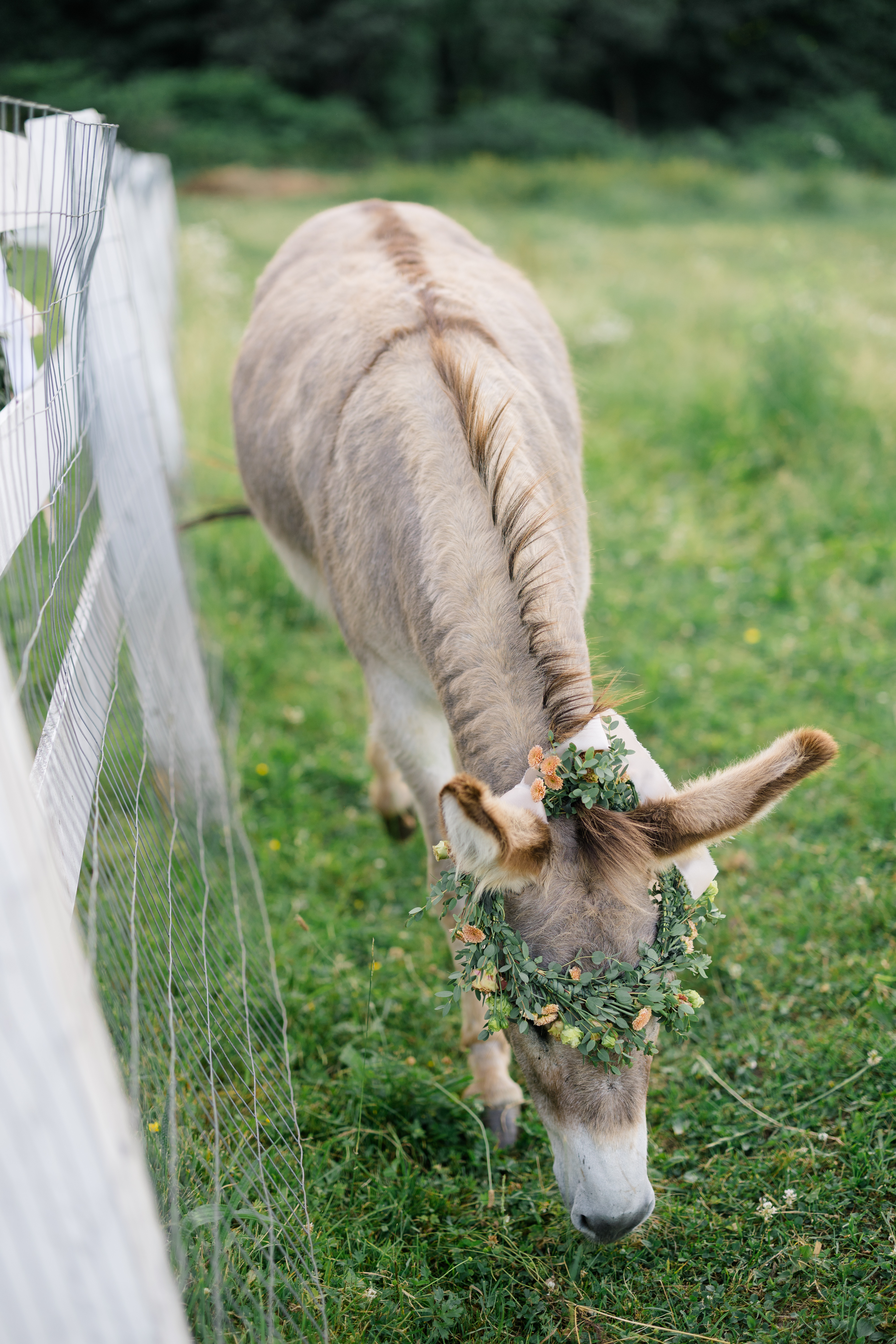A Rustic Chic Wedding Anniversary Celebration