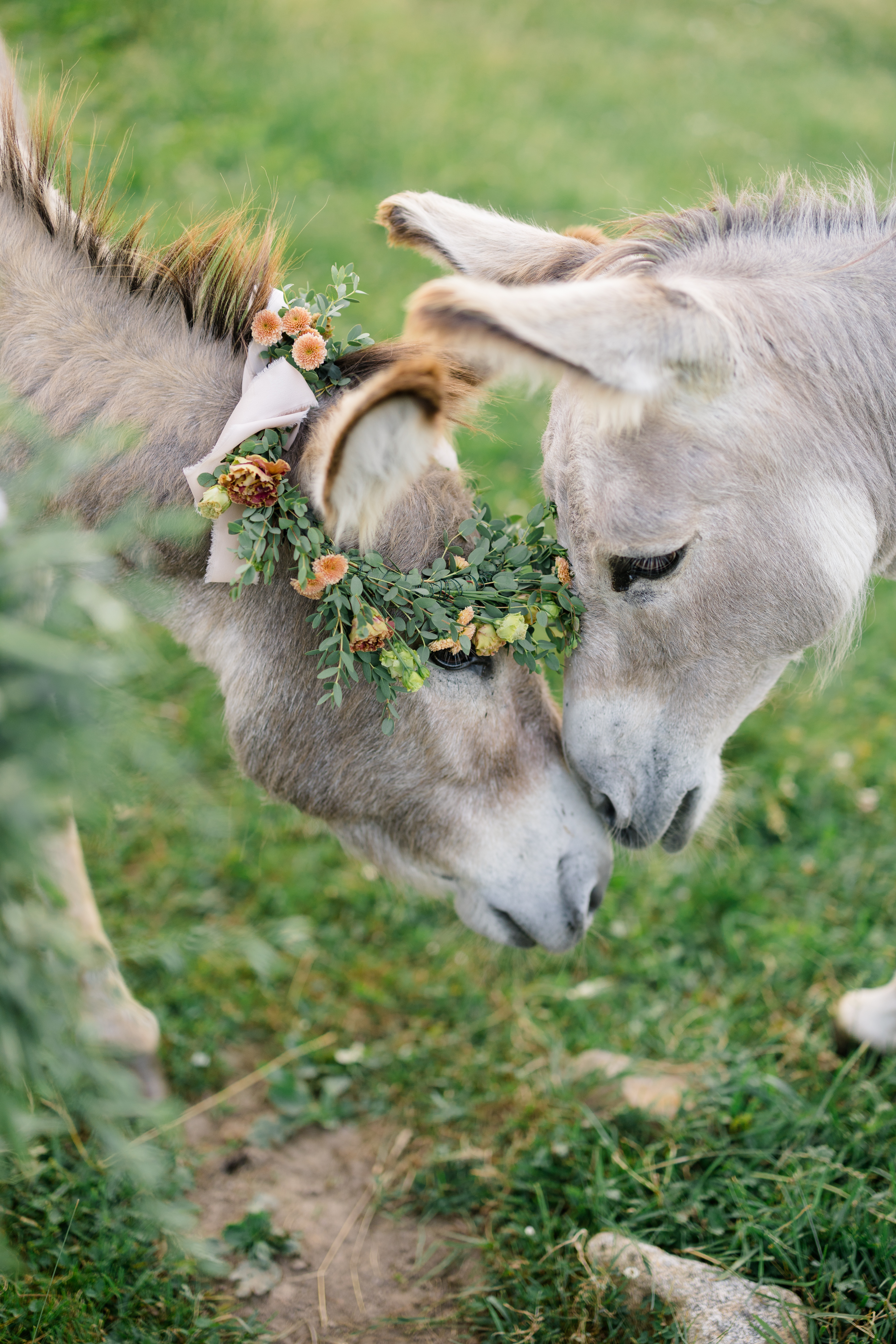 A Rustic Chic Wedding Anniversary Celebration