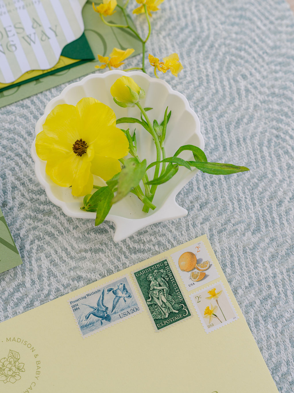 A Citrus and Lime Spring Baby Shower