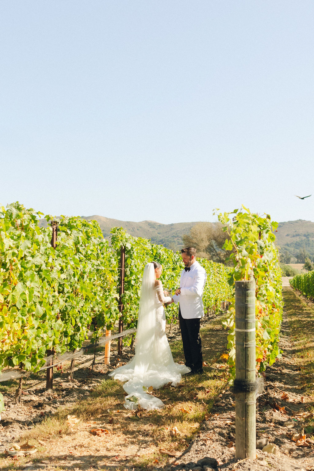 An Intimate Vineyard Wedding Set With Family-Style Dining