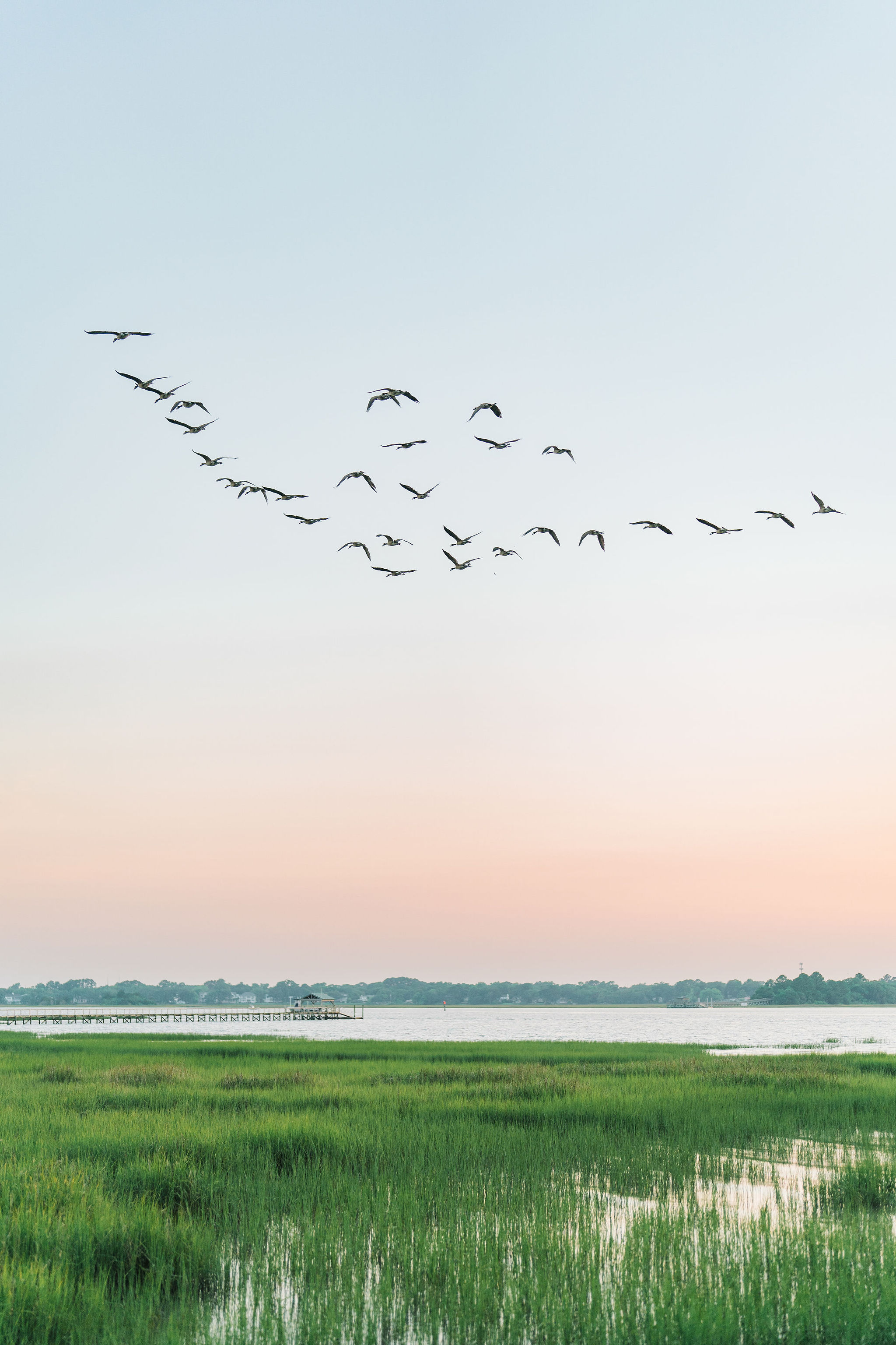 A Colorful Charleston Spring Wedding at Lowndes Grove