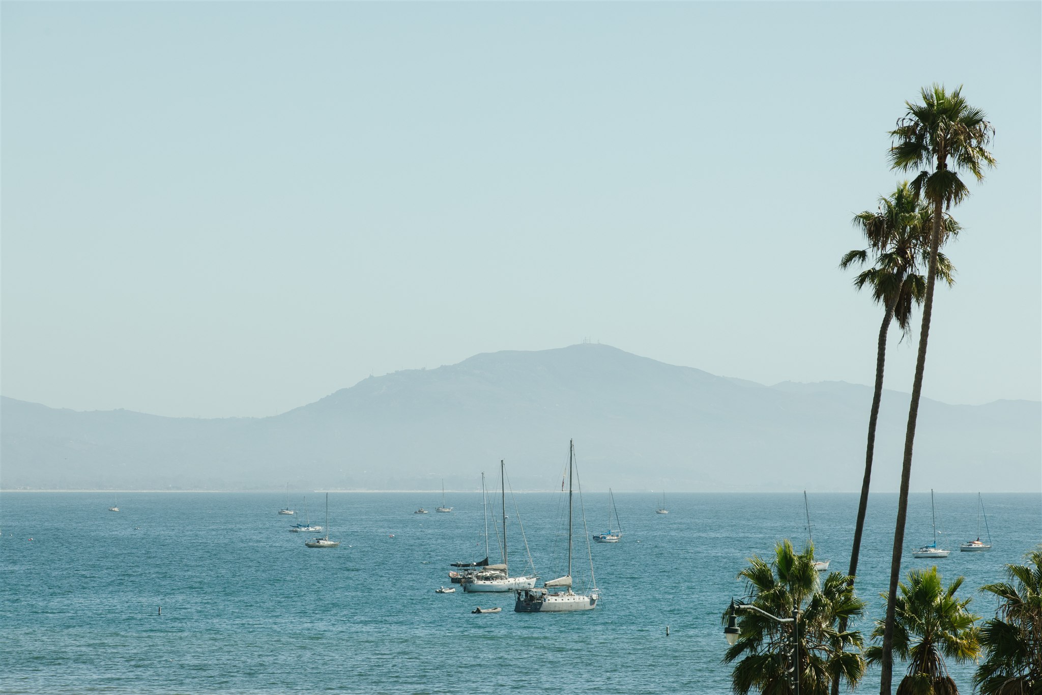 A Santa Barbara Wedding with Parisian Charm - Inspired By This