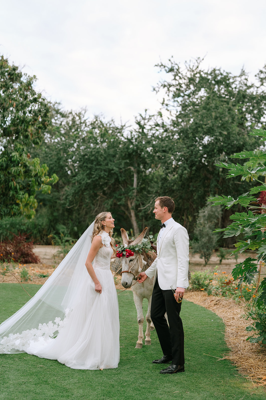 A Tropical & Vibrant Cabo Wedding at Flora Farms - Inspired By This