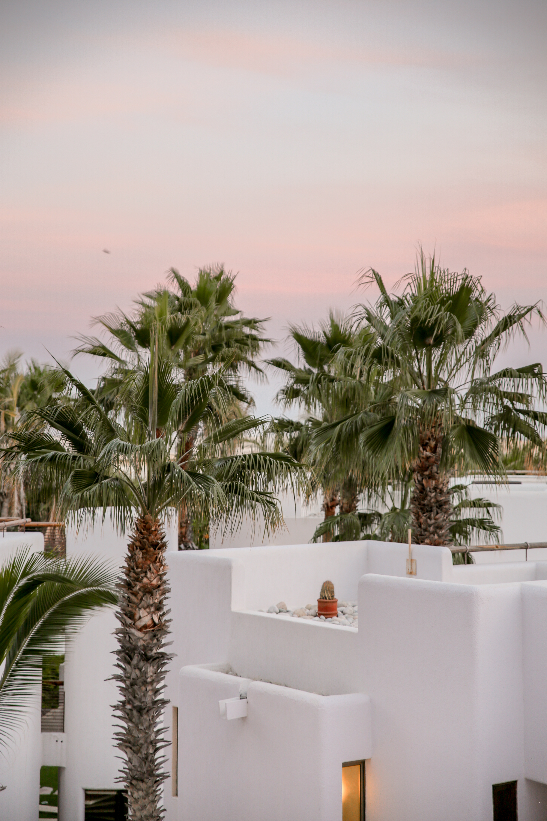 An Escape to Marquis Los Cabos We Won't Forget - Inspired By This
